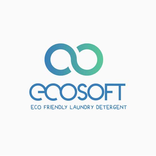 Logo Design and Branding for EcoSoft