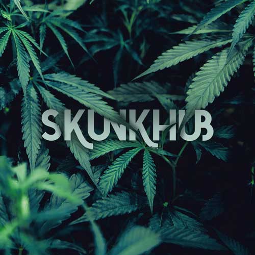 Skunkhub Logo Design